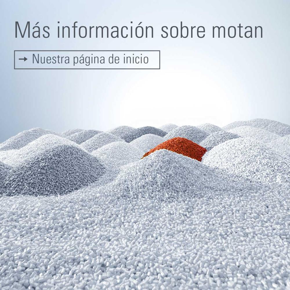 Motan Website