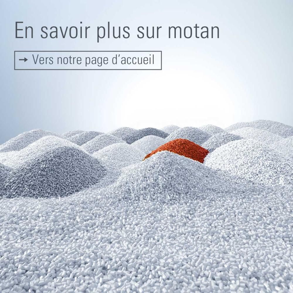 Motan Website